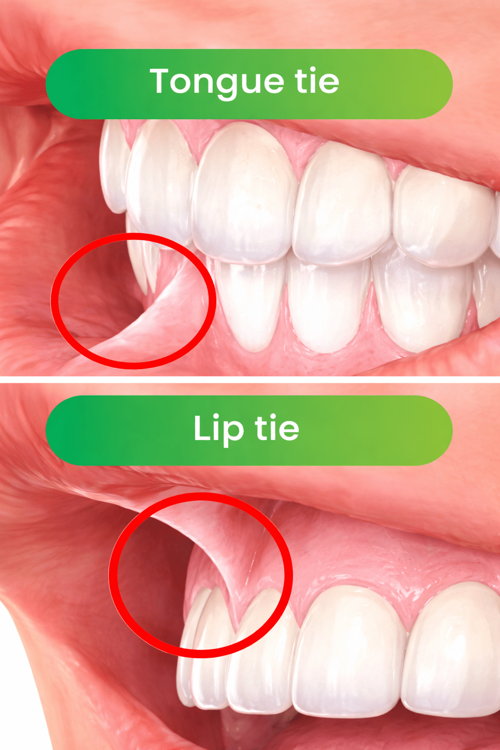 ChatGPT Image Feb 5, 2026, 03_18_02 PM